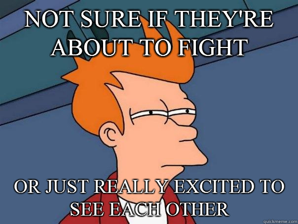 not sure if they're about to fight or just really excited to see each other - not sure if they're about to fight or just really excited to see each other  Futurama Fry