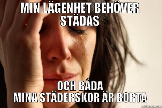 Städa Lägenhet - MIN LÄGENHET BEHÖVER STÄDAS OCH BÅDA MINA STÄDERSKOR ÄR BORTA First World Problems