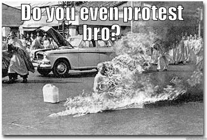 DO YOU EVEN PROTEST BRO?  Misc