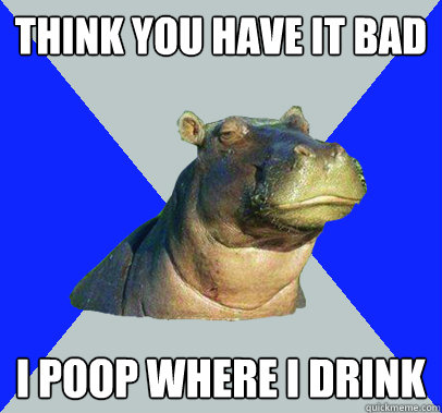 think you have it bad i poop where i drink  Skeptical Hippo