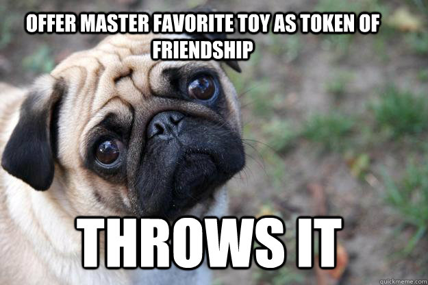 Offer master favorite toy as token of friendship Throws it  