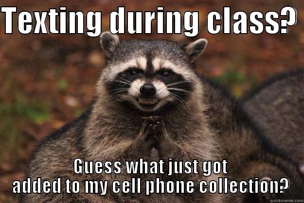 TEXTING DURING CLASS?  GUESS WHAT JUST GOT ADDED TO MY CELL PHONE COLLECTION? Evil Plotting Raccoon