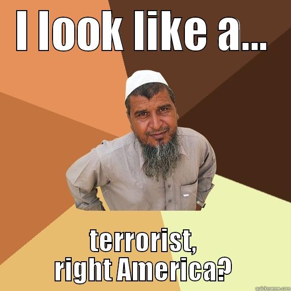 I LOOK LIKE A... TERRORIST, RIGHT AMERICA? Ordinary Muslim Man