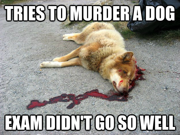 Tries to murder a dog Exam didn't go so well  Criminal Law