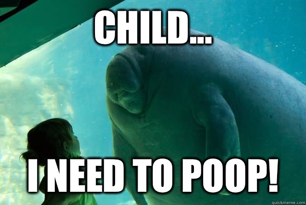 Child... I NEED TO POOP! - Child... I NEED TO POOP!  Overlord Manatee