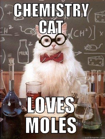 CHEMISTRY CAT - CHEMISTRY CAT LOVES MOLES Chemistry Cat