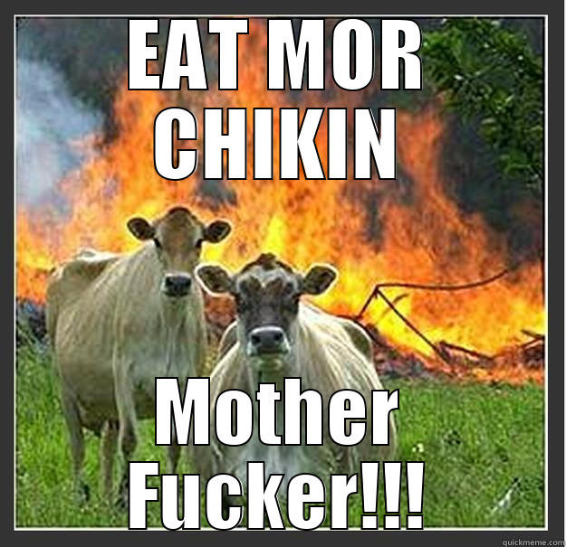 EAT MOR CHIKIN MOTHER FUCKER!!! Evil cows