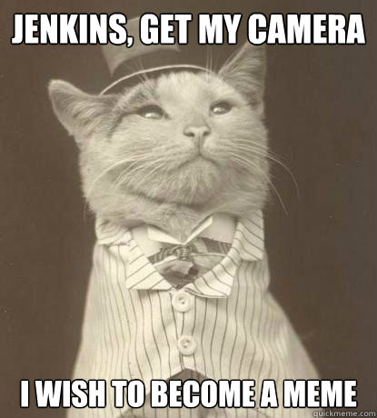 Jenkins, get my camera I wish to become a meme  Aristocat