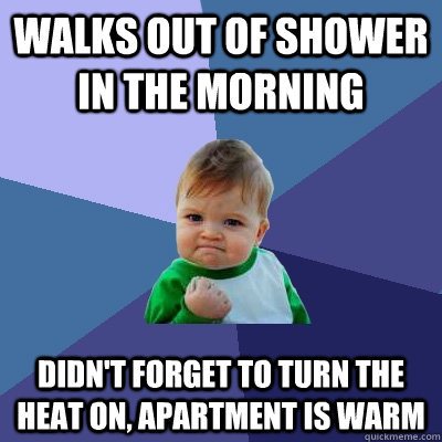 Walks out of shower in the morning Didn't forget to turn the heat on, apartment is warm - Walks out of shower in the morning Didn't forget to turn the heat on, apartment is warm  Success Kid