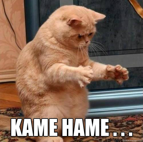  Kame Hame . . .  Super Saiyan Cat