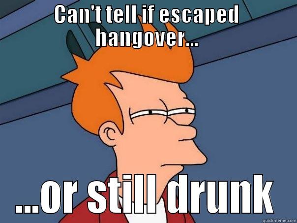 CAN'T TELL IF ESCAPED HANGOVER... ...OR STILL DRUNK Futurama Fry