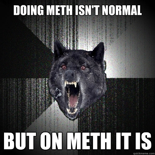 DOing meth isn't normal But on meth it is  Insanity Wolf