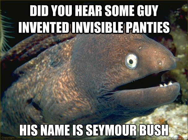 Did you hear some guy invented invisible panties His name is Seymour Bush - Did you hear some guy invented invisible panties His name is Seymour Bush  Bad Joke Eel