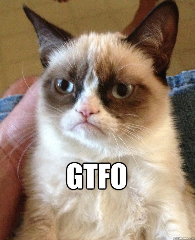  GTFO  Grumpy Cat