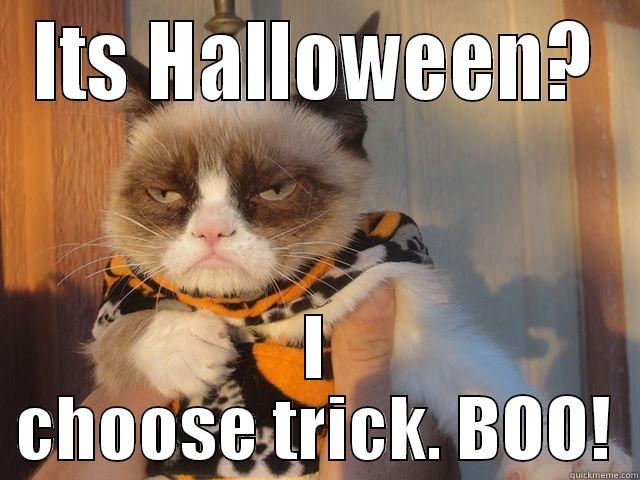 Have a grumpy Halloween - ITS HALLOWEEN? I CHOOSE TRICK. BOO! Misc