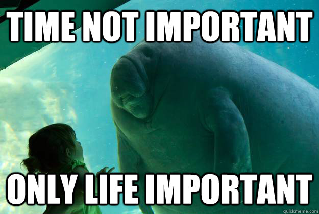 time not important only life important - time not important only life important  Overlord Manatee