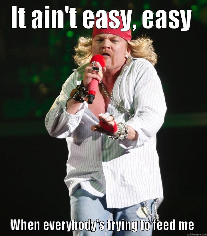 Fat Axl Rose - IT AIN'T EASY, EASY WHEN EVERYBODY'S TRYING TO FEED ME Misc