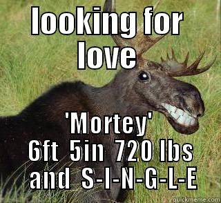 LOOKING FOR LOVE 'MORTEY'  6FT  5IN  720 LBS     AND  S-I-N-G-L-E   Misc