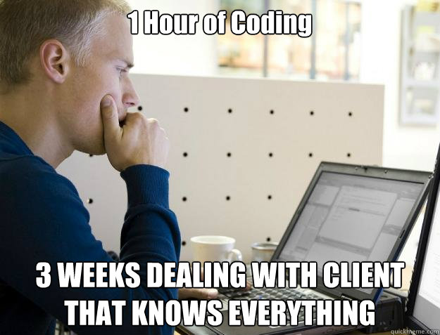 1 Hour of Coding 3 WEEKS DEALING WITH CLIENT THAT KNOWS EVERYTHING  Programmer