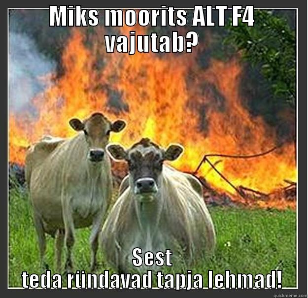 satanistic cows - MIKS MOORITS ALT F4 VAJUTAB? SEST TEDA RÜNDAVAD TAPJA LEHMAD! Evil cows