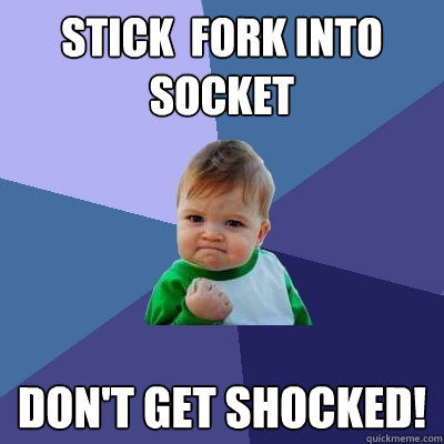 Stick  fork into socket don't get shocked!  Success Kid