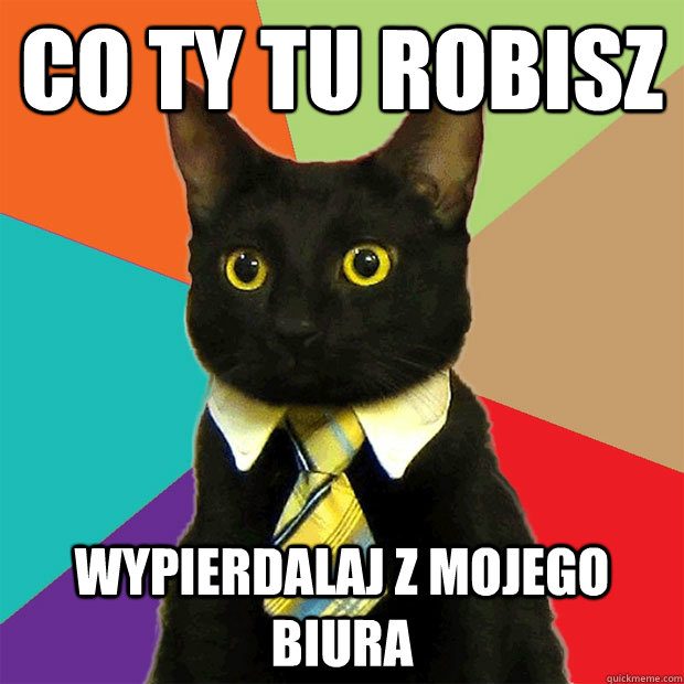 Co ty tu robisz wypierdalaj z mojego biura  Business Cat