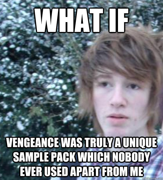 WHAT IF  VENGEANCE WAS TRULY A UNIQUE SAMPLE PACK WHICH NOBODY EVER USED APART FROM ME  