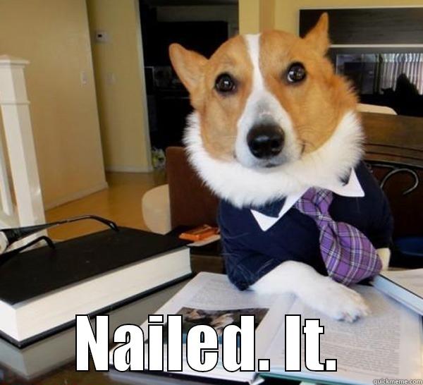  NAILED. IT. Lawyer Dog