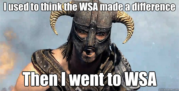 I used to think the WSA made a difference
 Then I went to WSA
  Took an Arrow to the Knee