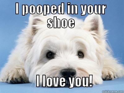 I POOPED IN YOUR SHOE              I LOVE YOU!           Misc