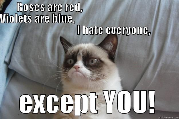 ROSES ARE RED,                                        VIOLETS ARE BLUE,                                                                             I HATE EVERYONE, EXCEPT YOU! Grumpy Cat