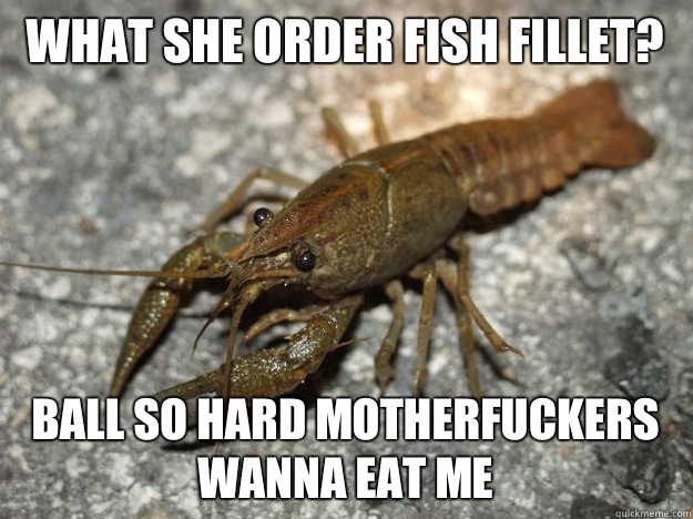 What she order fish fillet? Ball so hard motherfuckers wanna eat me  that fish cray