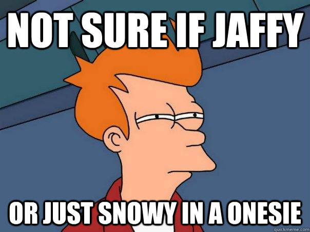 Not sure if jaffy Or just snowy in a onesie  Futurama Fry