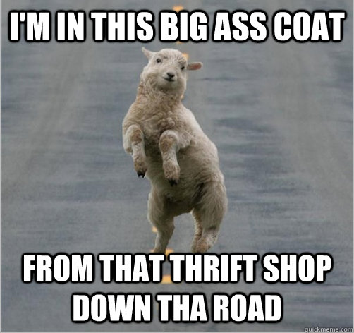 i'm in this big ass coat from that thrift shop down tha road  Dancing Sheep