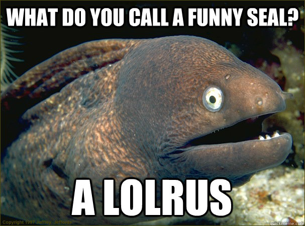 What do you call a funny seal? A LOLrus - What do you call a funny seal? A LOLrus  Bad Joke Eel