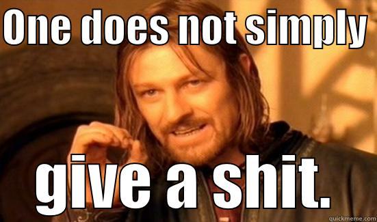 ONE DOES NOT SIMPLY  GIVE A SHIT. Boromir