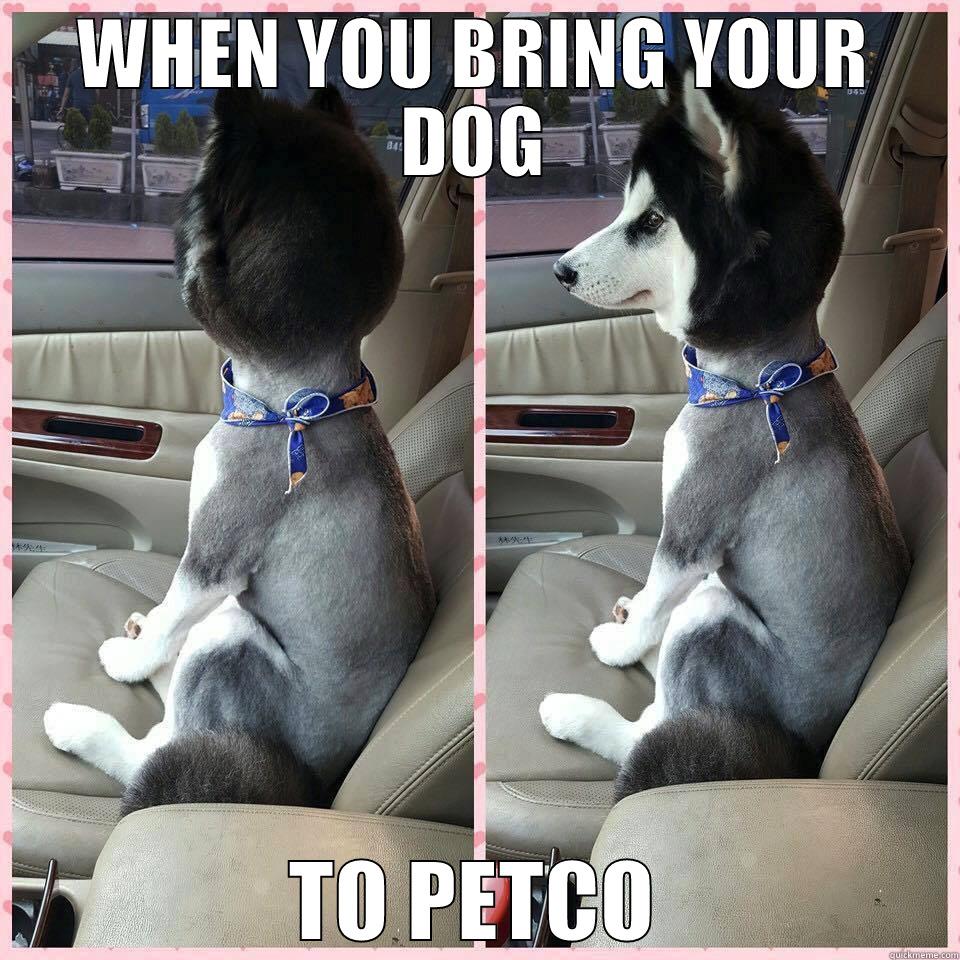 ALL I WANTED WAS A TRIM - WHEN YOU BRING YOUR DOG TO PETCO Misc