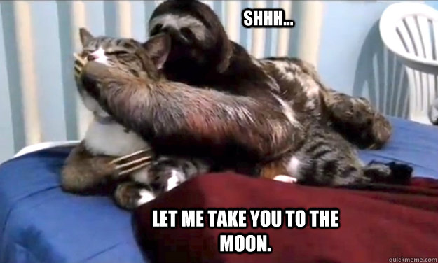 Shhh... let me take you to the moon.  rape sloth