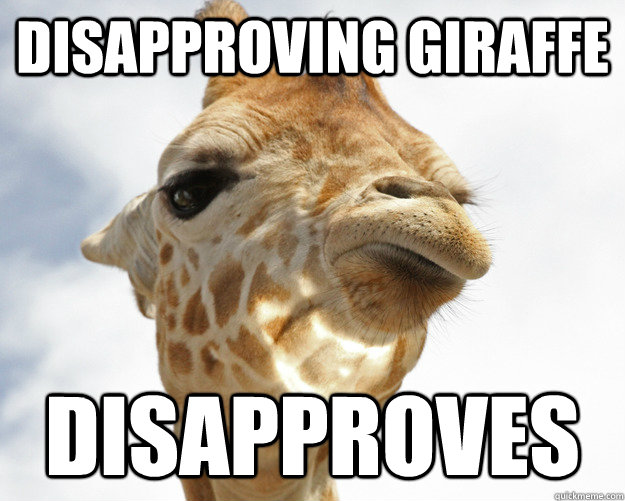 Disapproving giraffe Disapproves  disapproving giraffe