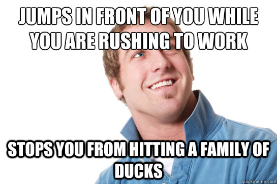 Jumps in front of you while you are rushing to work stops you from hitting a family of ducks  Misunderstood D-Bag