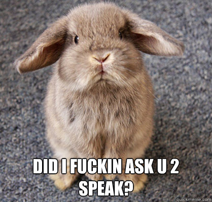  Did i fuckin ask u 2 speak? -  Did i fuckin ask u 2 speak?  Droopy rabbit cares