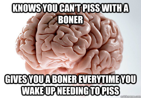 knows you can't piss with a boner gives you a boner everytime you wake up needing to piss  Scumbag Brain