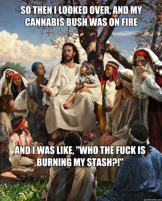 So then I looked over, and my cannabis bush was on fire And I was like, 