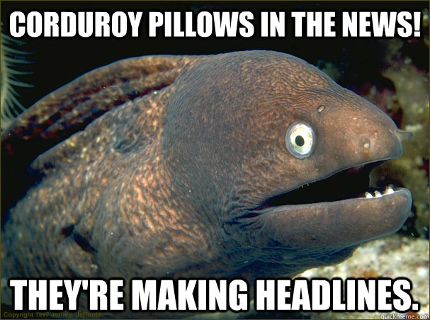 Corduroy Pillows In The News! They're making headlines.  Bad Joke Eel