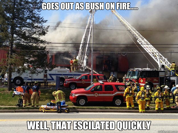 goes out as bush on fire..... well, that escilated quickly - goes out as bush on fire..... well, that escilated quickly  fire humor