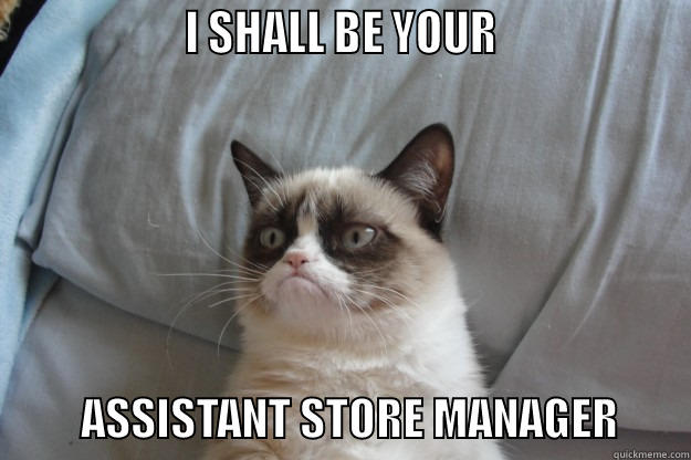                   I SHALL BE YOUR                             ASSISTANT STORE MANAGER        Grumpy Cat