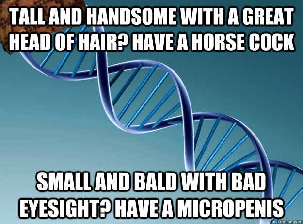 Tall and handsome with a great head of hair? Have a horse cock Small and bald with bad eyesight? Have a micropenis - Tall and handsome with a great head of hair? Have a horse cock Small and bald with bad eyesight? Have a micropenis  Scumbag Genetics