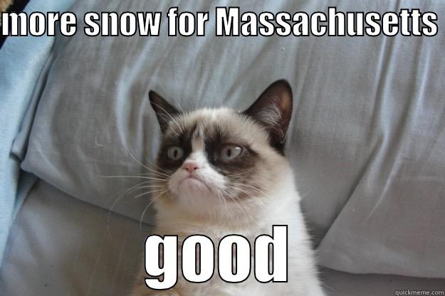 MORE SNOW FOR MASSACHUSETTS  GOOD Grumpy Cat