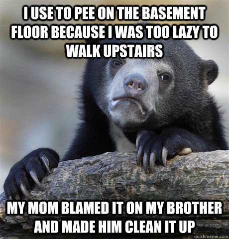 I use to pee on the basement floor because I was too lazy to walk upstairs My mom blamed it on my brother and made him clean it up  Confession Bear