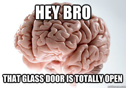 Hey bro that glass door is totally open   Scumbag Brain